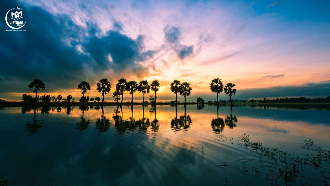 Unlocking the Charm of MEKONG DELTA: A Guide for Indian Travelers 5 Palm Trees in a Rice Paddy at Sunrise