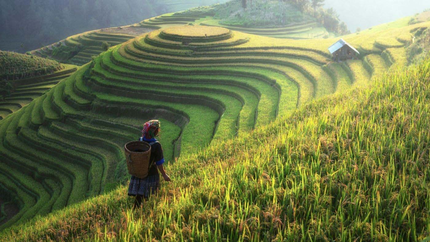 PU LUONG: Unwind in Vietnam's Untamed Beauty 1 Pu Luong is a serene retreat with stunning rice terraces and rich cultural charm in Thanh Hoa province
