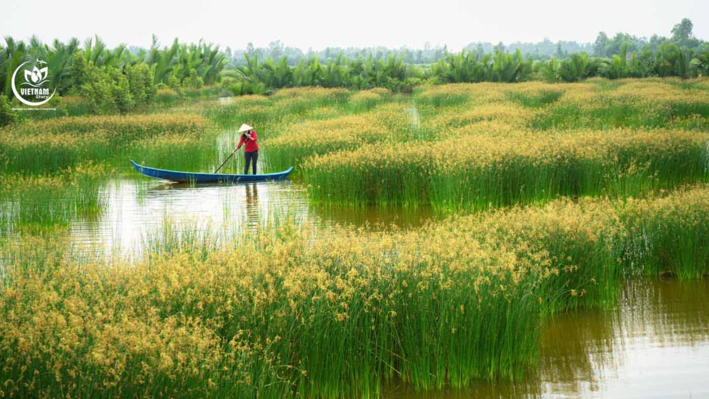 Unlocking the Charm of MEKONG DELTA: A Guide for Indian Travelers 2 Way to Mekong Delta Travel from HCMC by Bus, Train, or Scenic Boat Trip