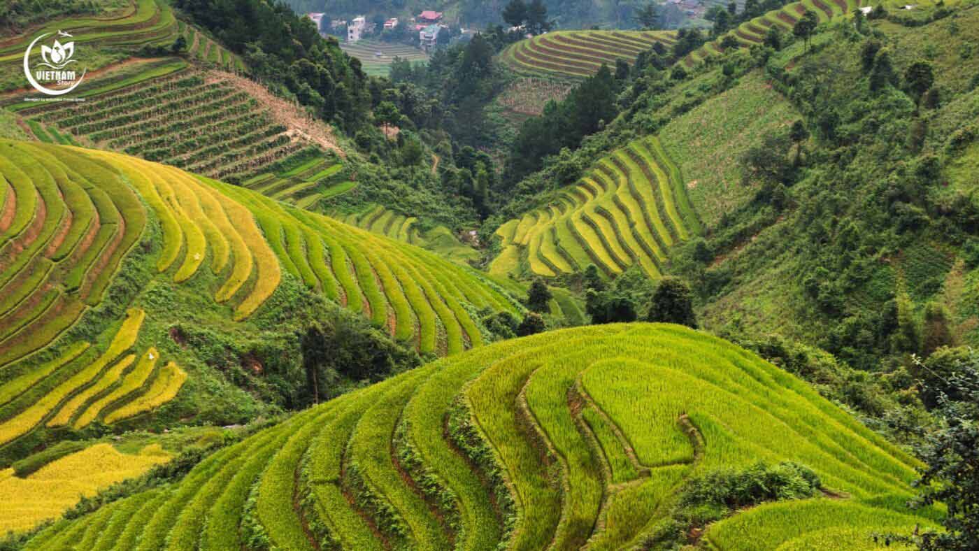 SAPA: Your Gateway to Majestic Mountains and Cultural Immersion 2 majestic terraced fields in Sapa