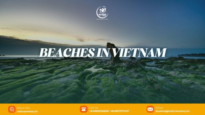 Vietnam is naturally blessed with breathtaking seascapes