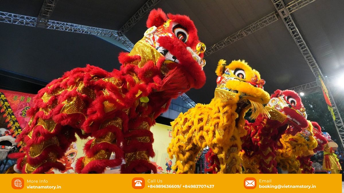 Vietnamese Lion Dance (Múa Lân): Unveiling a Spirited Cultural Tradition 6 Intricately designed Vietnamese lion dance costumes are a key feature of this cultural tradition.