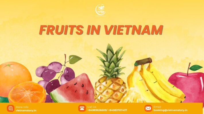 Thanks to the tropical climate, Vietnam is an ideal place for fruit growth