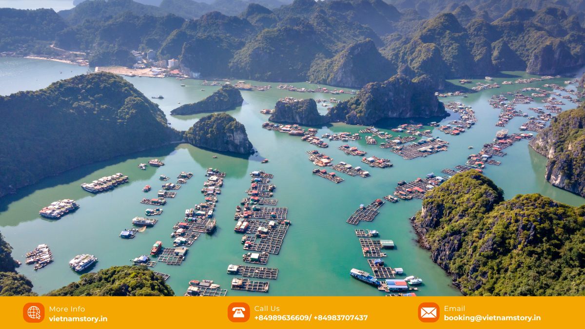 Your Ultimate Guide to 8 Amazing UNESCO World Heritage Sites in Vietnam 13 Dramatic limestone karsts rising from emerald waters in Ha Long Bay, a renowned Vietnam UNESCO World Heritage Site.