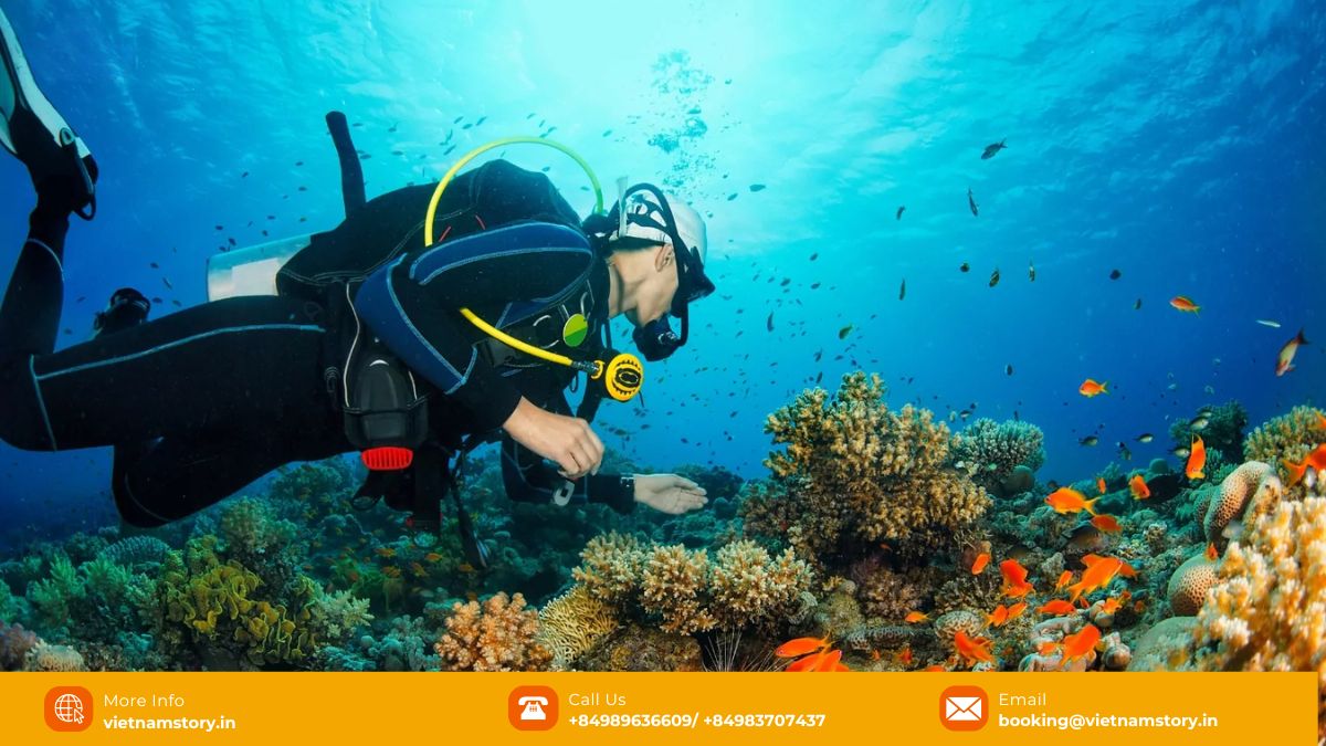 Scuba Diving in Vietnam: Unveiling an Underwater Paradise 10 Divers exploring coral reefs in Phu Quoc