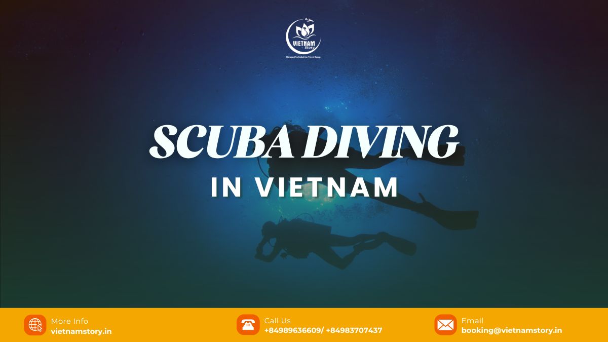Scuba Diving in Vietnam: Unveiling an Underwater Paradise 8 A scuba diver explores a vibrant coral reef in Vietnam