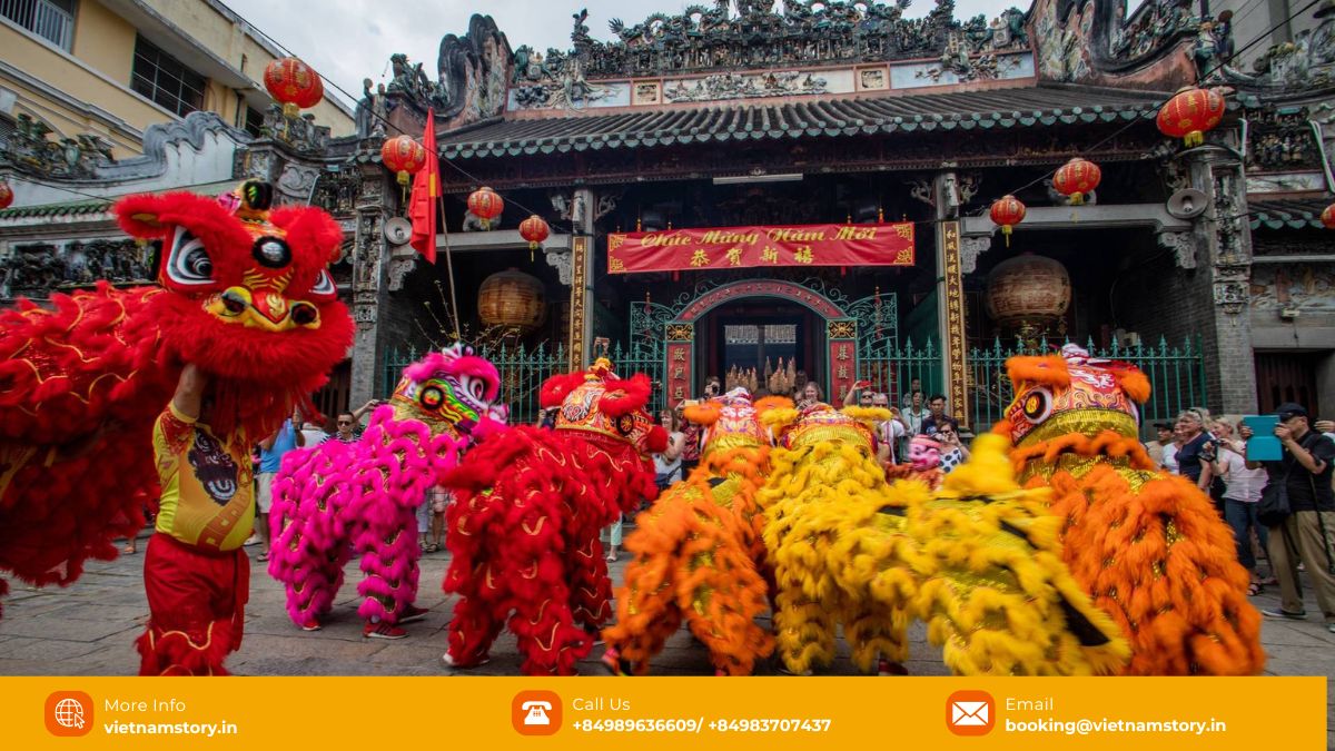 Vietnamese Lion Dance (Múa Lân): Unveiling a Spirited Cultural Tradition 7 Skilled Vietnamese lion dance performers during a Tet Holiday celebration.