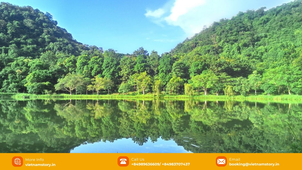 See why many tourists consider Cuc Phuong National Park a beloved destination for its biodiversity and natural beauty See why many tourists consider Cuc Phuong National Park a beloved destination for its biodiversity and natural beauty