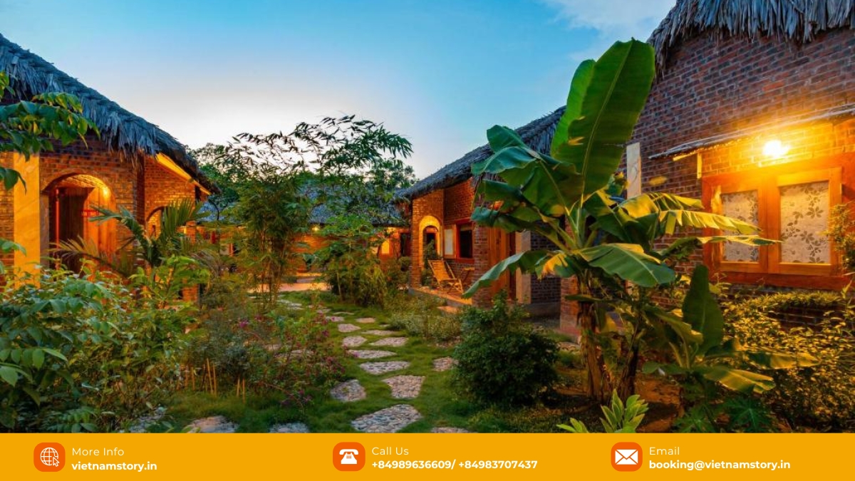 Where to stay in Ninh Binh: Your first-timer's guide to choosing the perfect location 9 ninh binh palm homestay