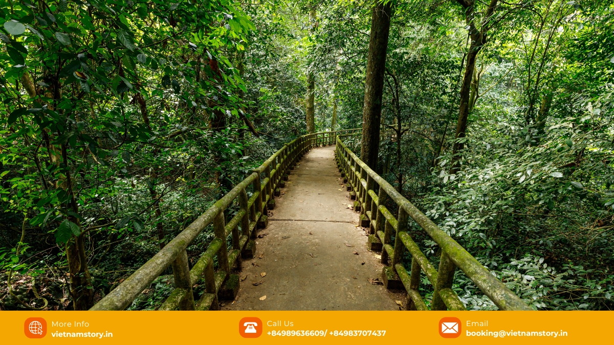 Take a break and let loose in nature in the center areas Take a break and let loose in nature in the center areas