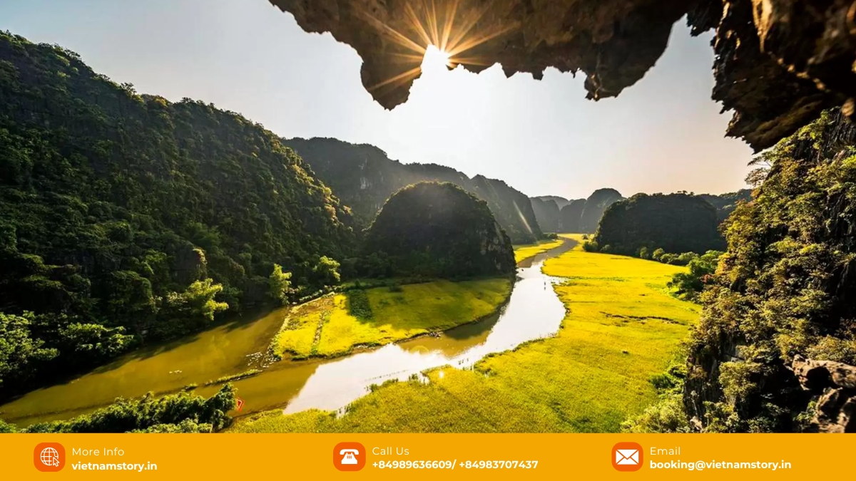 Ninh Binh’s rice paddies in the harvest season Ninh Binh’s rice paddies in the harvest season