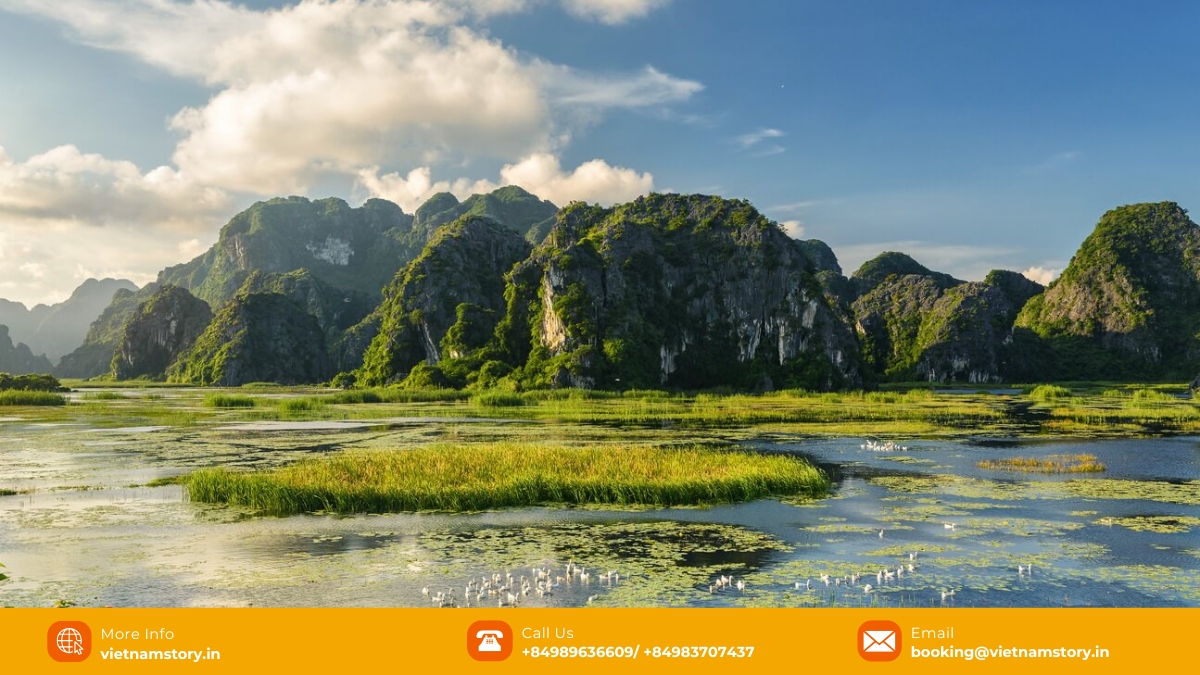 Van Long Nature Reserve: Ninh Binh's Tranquil Gem for Your Vietnam Trip 5 Come to Van Long Wetland Nature Reserve and take in all the sights and sounds