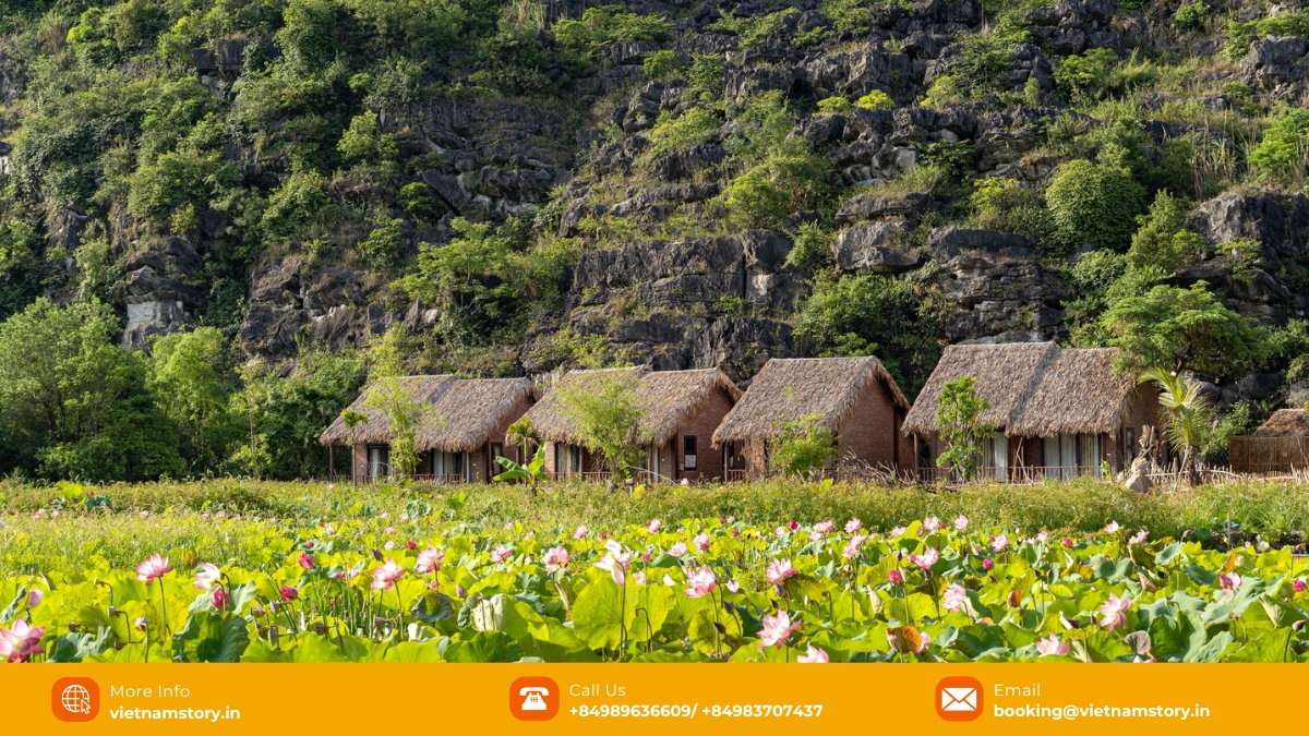 Experiencing Muong Village Ninh Binh - A culturally inspired retreat for Indian travellers 7 lotus pond