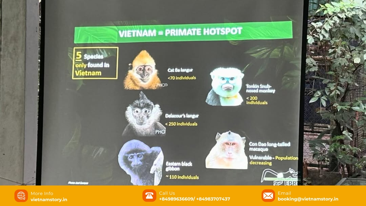 The Endangered Primate Rescue Center is home to 15 primate species, with a total of 160 individuals. The Endangered Primate Rescue Center is home to 15 primate species, with a total of 160 individuals.
