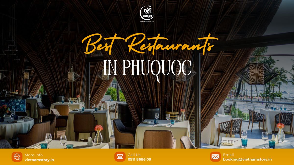 Beyond the tourist traps: Finding the real best restaurants in Phu Quoc 2 How to find the best restaurants in Phu Quoc for your trip?