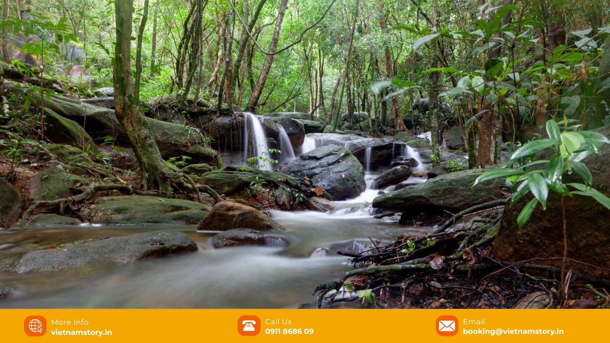 Your guide to the wild heart of Phu Quoc National Park 4 The cool and fresh water of the streams will make you excited