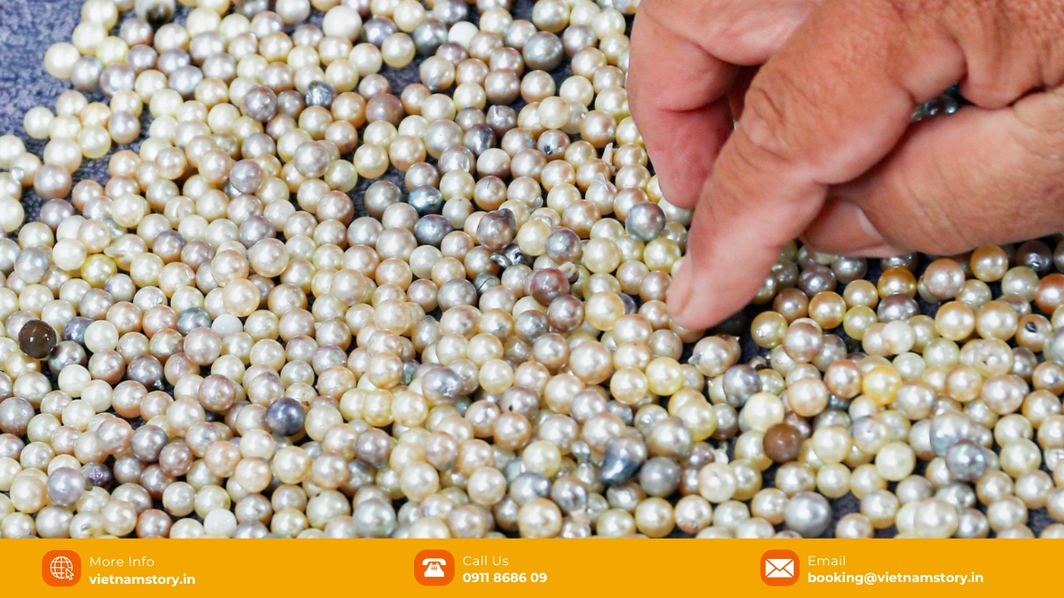 A sensory guide to the sights, sounds and sizzling food of Phu Quoc Night Market 5 Phu Quoc pearls – one of the best souvenirs in Phu Quoc for your loved ones