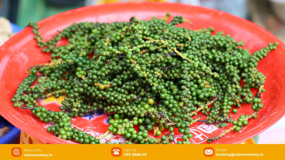The ultimate Pepper Farms Phu Quoc Guide: A spice lover's journey 3 Phu Quoc pepper has a number of medicinal effects