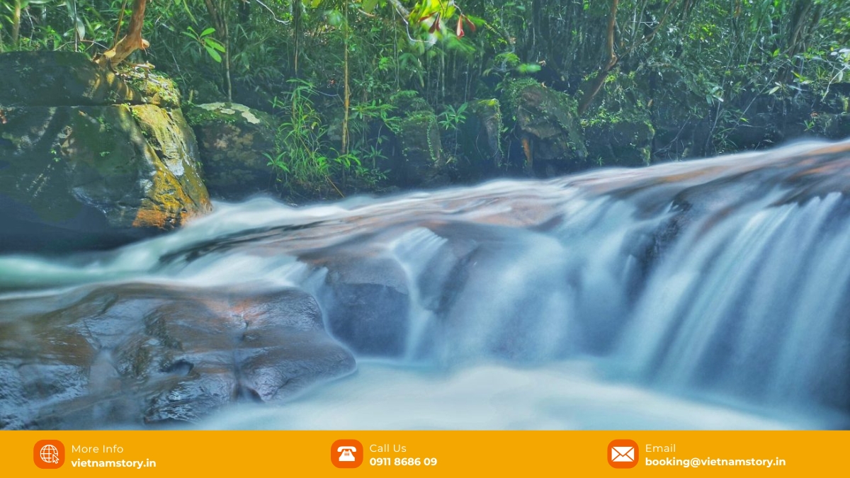 Chasing waterfalls in paradise - A guide to the best Phu Quoc Waterfall 6 Suoi Tien Phu Quoc Waterfall is surrounded by rose myrtle