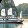 Athena Signature Royal 3D2N (16 Cabins) 8 2 39