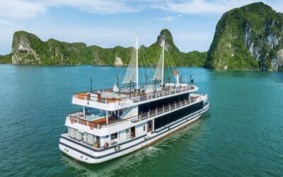 Iris Cruise Daily 1 Day