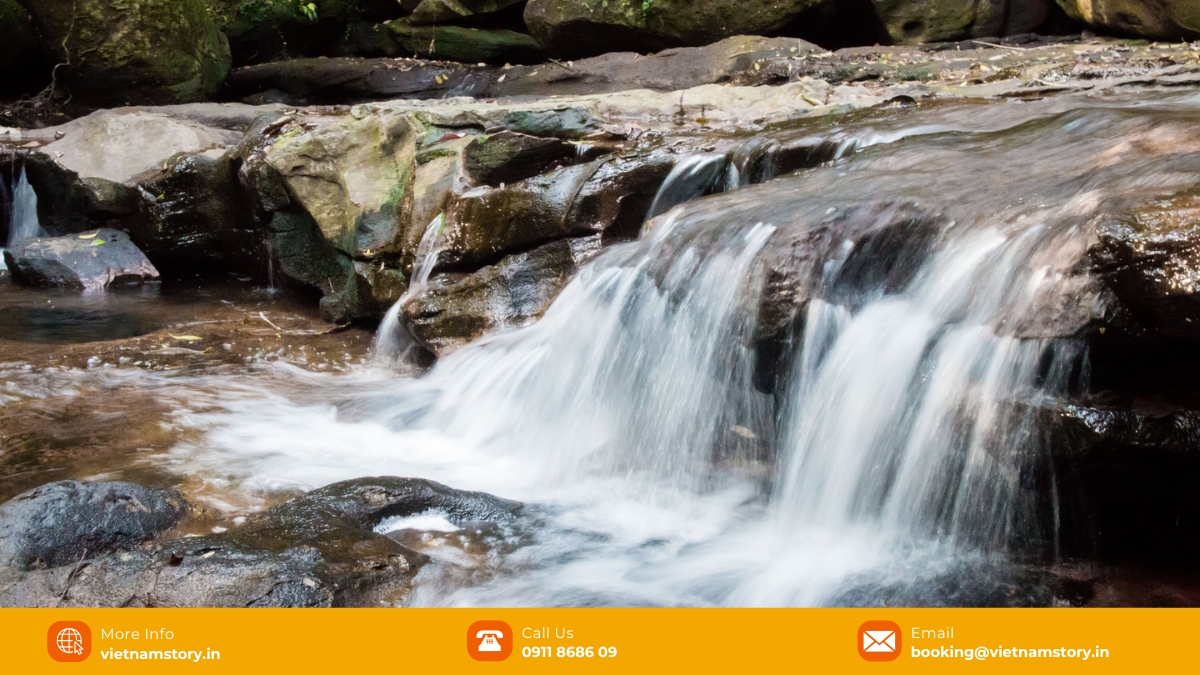 Da Ban stream guide: Phu Quoc's best kept secret for picnics and hikes 4 Relax by a peaceful Da Ban stream surrounded by nature