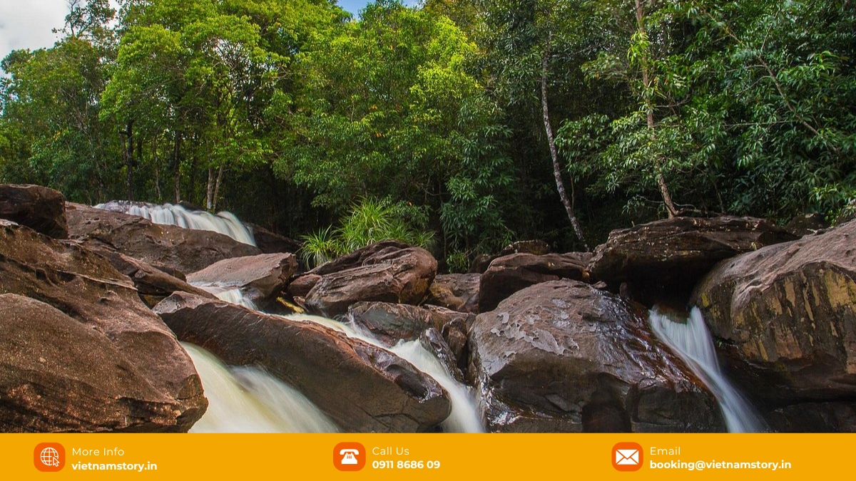 Da Ban stream guide: Phu Quoc's best kept secret for picnics and hikes 3 The stunning beauty of Da Ban Stream in Phu Quoc