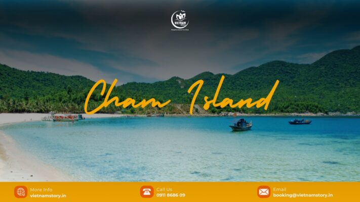 Cham Islands offers tourists a lot of interesting experiences thanks to its stunning natural and cultural attractions.