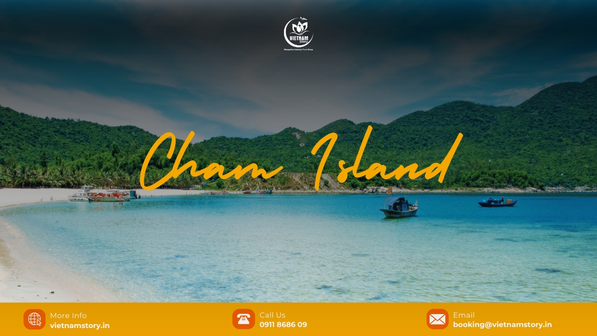 Cham Islands: Vietnam’s UNESCO Marine Sanctuary for Snorkeling, Diving, and Eco-Adventure 2 Cham Islands offers tourists a lot of interesting experiences thanks to its stunning natural and cultural attractions.