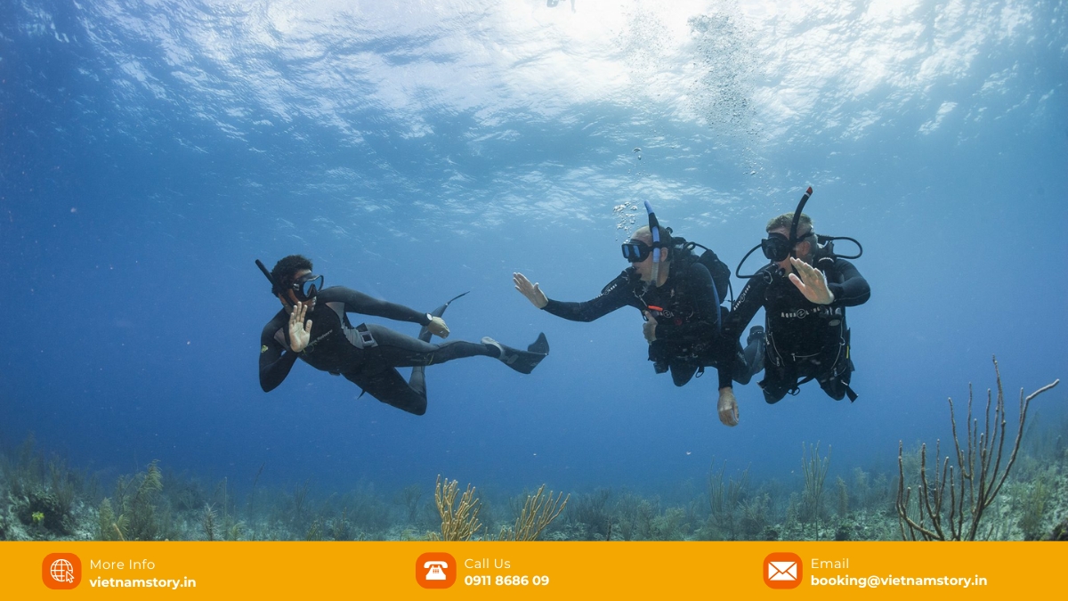 Snorkeling in Da Nang: Gateway to Central Vietnam's marine life 3 When is the best time to gp snorkeling in Da Nang?