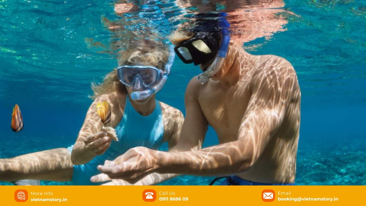 Snorkeling in Da Nang: Gateway to Central Vietnam's marine life 4 Essential tips for Indian travelers