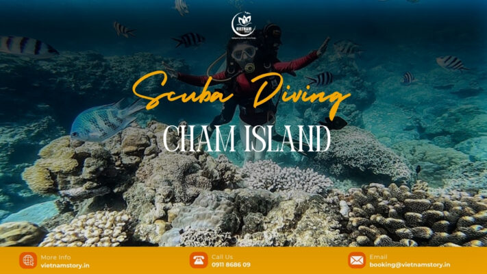 Cham Island scuba diving offers an incredible opportunity to explore some of Vietnam’s most stunning marine landscapes.