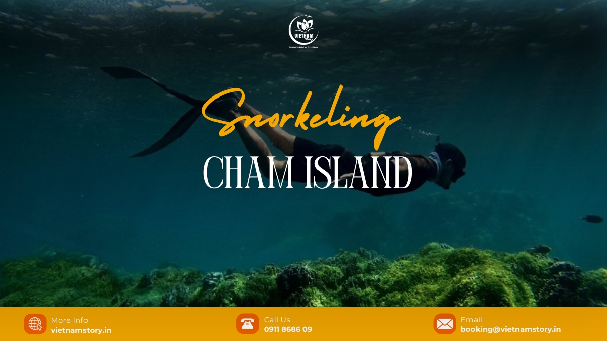 Snorkeling in Cham Islands is a dream come true for ocean lovers.