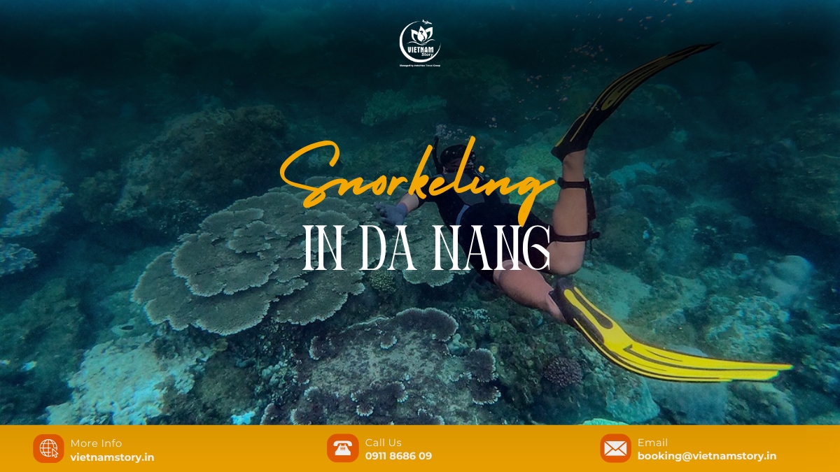 Snorkeling in Da Nang: Gateway to Central Vietnam's marine life 2 Snorkeling in Da Nang is a leisure activity in which you swim on the water’s surface and simultaneously observe the marine life under it
