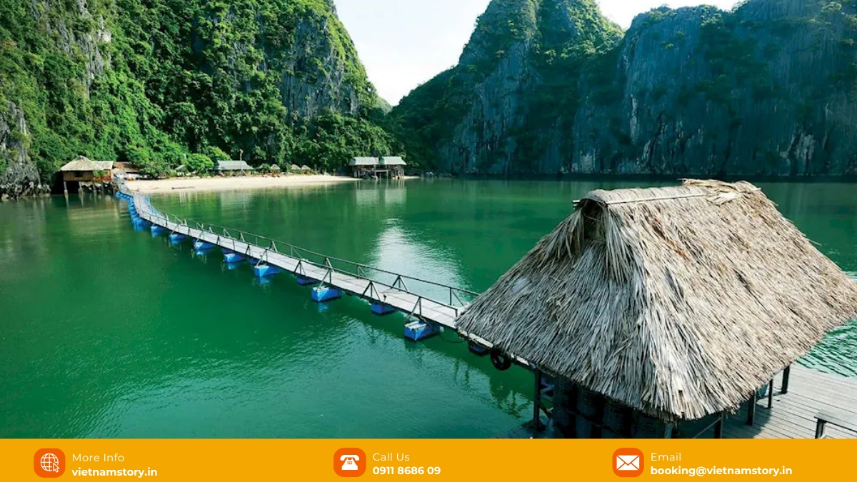 Viet Hai Village: The "Hidden Valley" of Cat Ba & Lan Ha Bay 3 Viet Hai Village is Inside Cat Ba National Park, accessible by boat/cruise, surrounded by stunning karst landscapes.