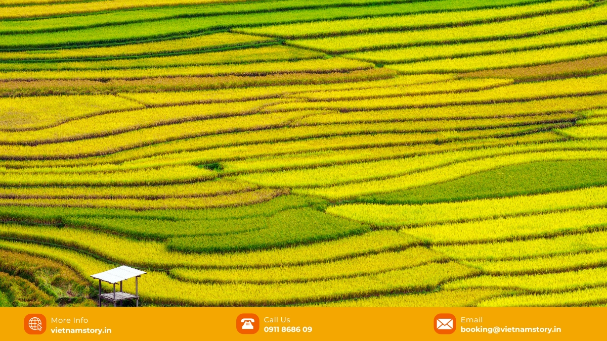The Best Time to Visit Sapa in 2026: Your Ultimate Seasonal Guide 4 Sapa is renowned for its incredibly picturesque landscapes, so don't forget to pack a camera, camcorder, or, at the very least, your smartphone to seize the moment.