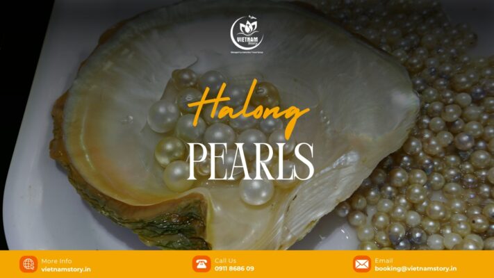 Halong Pearl, offers a captivating glimpse into the vibrant floating village life in Ha Long Bay.