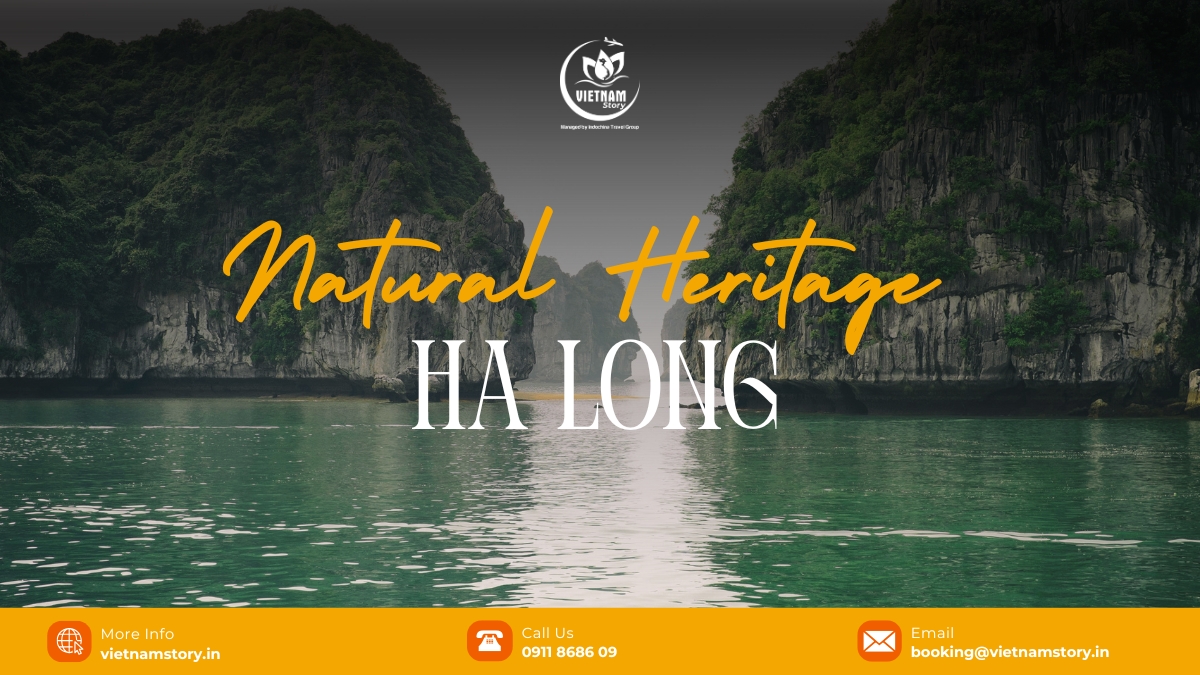 Ha Long Natural Heritage: A Guide to the 500-Million-Year-Old Masterpiece 2 Ha Long Bay, a UNESCO World Heritage Site since 1994, features nearly 2,000 limestone islands rising from the emerald waters of the Gulf of Tonkin.