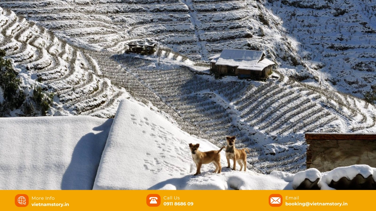 The Best Time to Visit Sapa in 2026: Your Ultimate Seasonal Guide 5
December falls right in the heart of winter, resulting in potentially very cold Sapa weather.