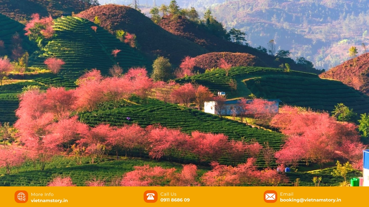 The Best Time to Visit Sapa in 2026: Your Ultimate Seasonal Guide 3 The weather in Sapa Vietnam in February is characterized by chilly temperatures