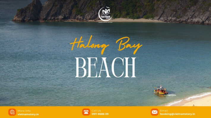 Halong Bay features numerous stunning beaches, ranging from vibrant, accessible spots like Bai Chay and Tuan Chau to pristine, secluded options like Ti Top, Soi Sim, and Ba Trai Dao.