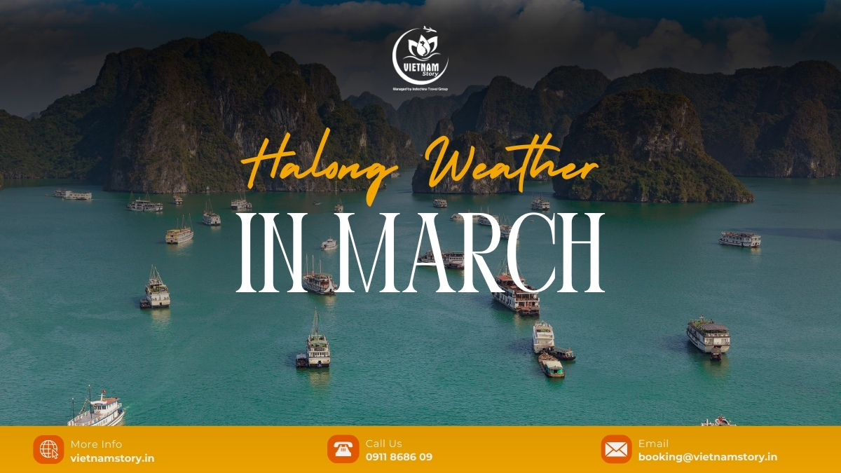 Halong Weather March: Your Comprehensive Spring Awakening Guide 2 For a perfect trip to Ha Long Bay, it is essential to have a clear understanding of the Ha Long Bay weather in March.