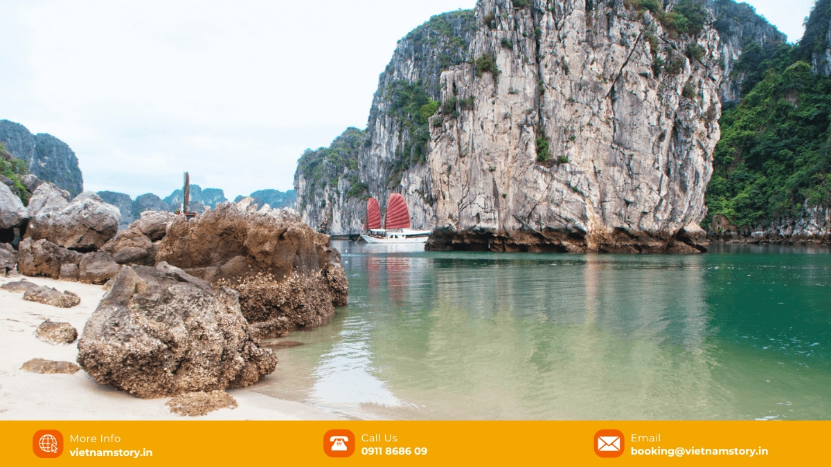 Hon Co Island: Discover the "Green Heart" of Bai Tu Long Bay 4 Famous for its pristine landscapes, long stretches of white sand beaches, crystal-clear waters, and Thien Canh Son Cave, this is an ideal destination for kayaking, swimming, cave exploration, and relaxation, often visited on luxury cruise itineraries.