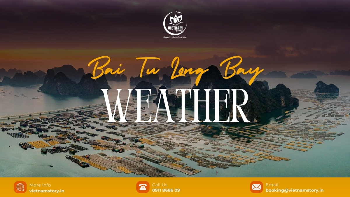 Bai Tu Long Bay Weather: A Seasonal Guide For Indian Travelers 2 By understanding Bai Tu Long Bay weather by month, you can plan an unforgettable journey that perfectly matches your favorite activities and travel style.