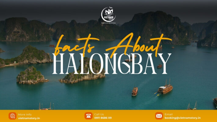 Ha Long Bay is one of the world's most famous natural wonders, notable for its thousands of limestone islands rising from emerald green waters.