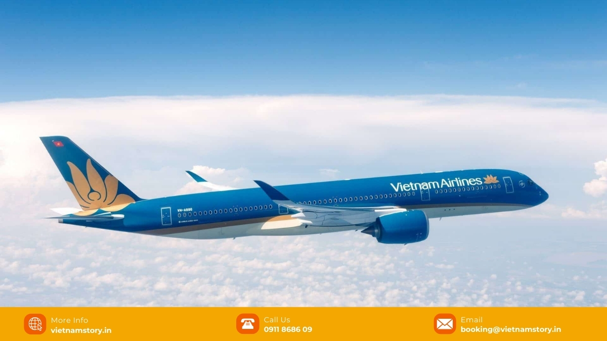 From Lanterns To Limestone: The Ultimate Insider Guide For The Journey From Hoi An To Halong 3 Overall, the Hoi An to Ha Long Bay flight can be a great choice for those who want to save time and travel comfortably.