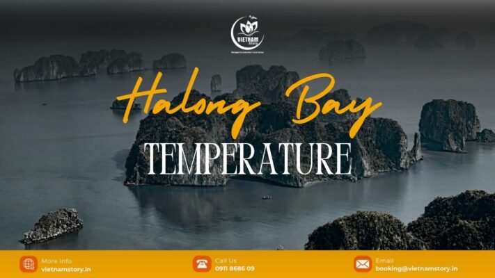 The average temperature in Halong Bay varies throughout different month of the year, offering visitors a diverse range of weather conditions to experience.