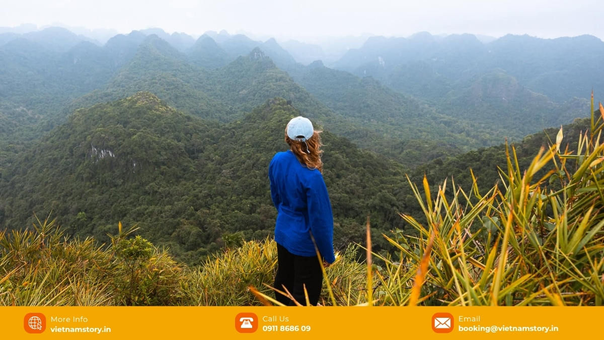 Exploring The Verticals: A Complete Guide To Your Next Halong Hike 7 For those who enjoy physical activity, Ngu Lam Peak is a mountain peak approximately 225m high located in the core area of the national park.