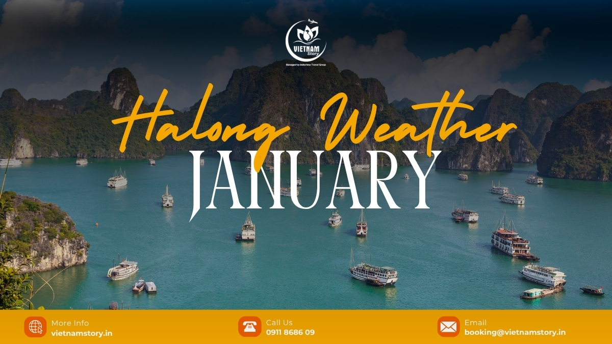 In January, Ha Long Bay is at the peak of winter with the weather.Cold and dry , characterized by a hazy and mysterious atmosphere.